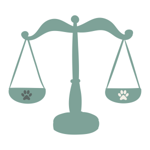 PetBizNetwork Terms & Conditions
