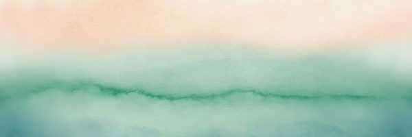 Pet Biz Network - Pattern 04